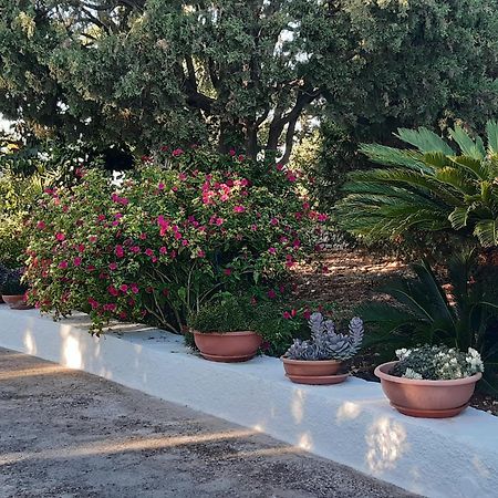 B&B Bell'Aria Monopoli Exterior foto