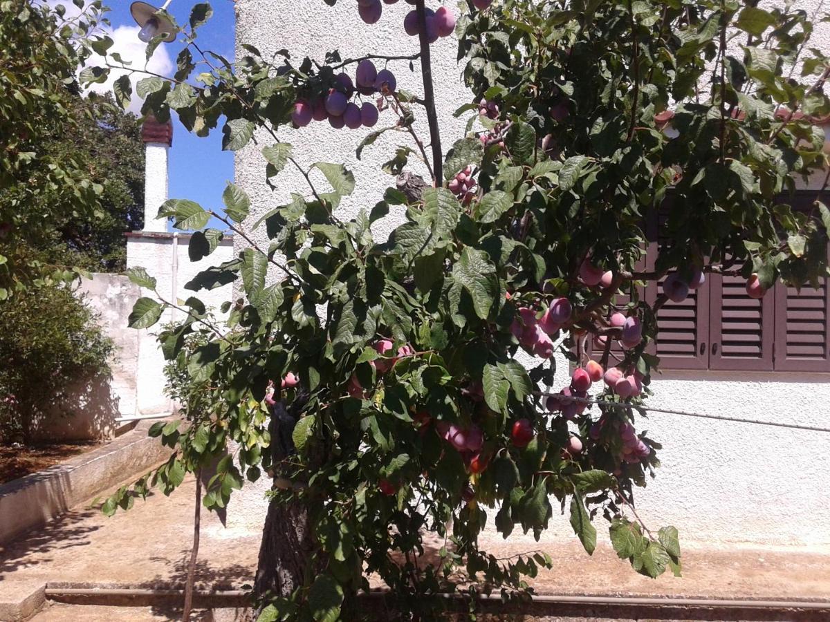 B&B Bell'Aria Monopoli Exterior foto