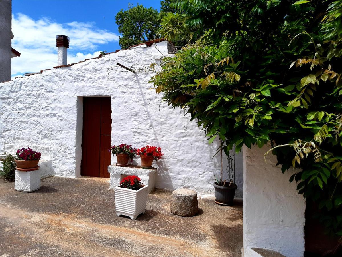 B&B Bell'Aria Monopoli Exterior foto